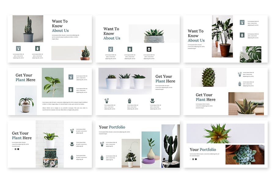 简约风格绿植介绍展示PPT模板 - 顶尖PPT