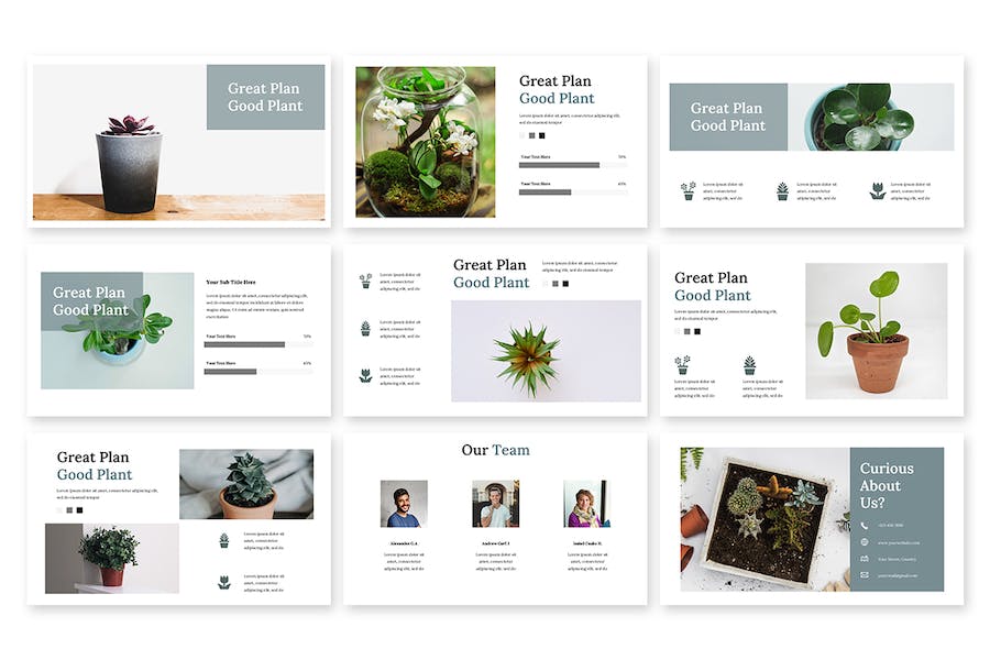 简约风格绿植介绍展示PPT模板 - 顶尖PPT