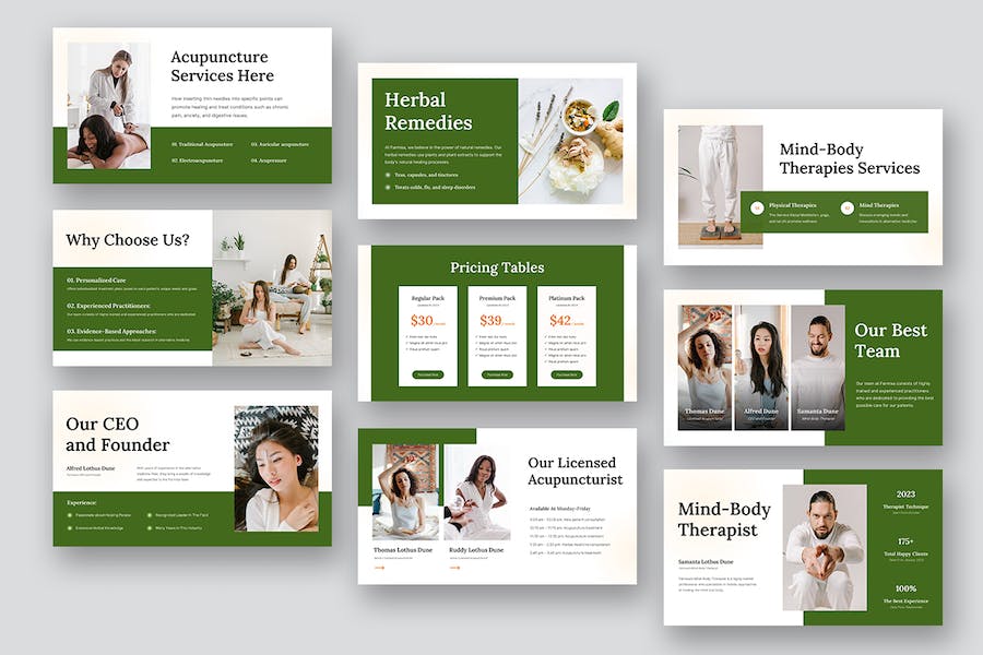 医疗诊疗替代方案展示PPT模板 - 顶尖PPT