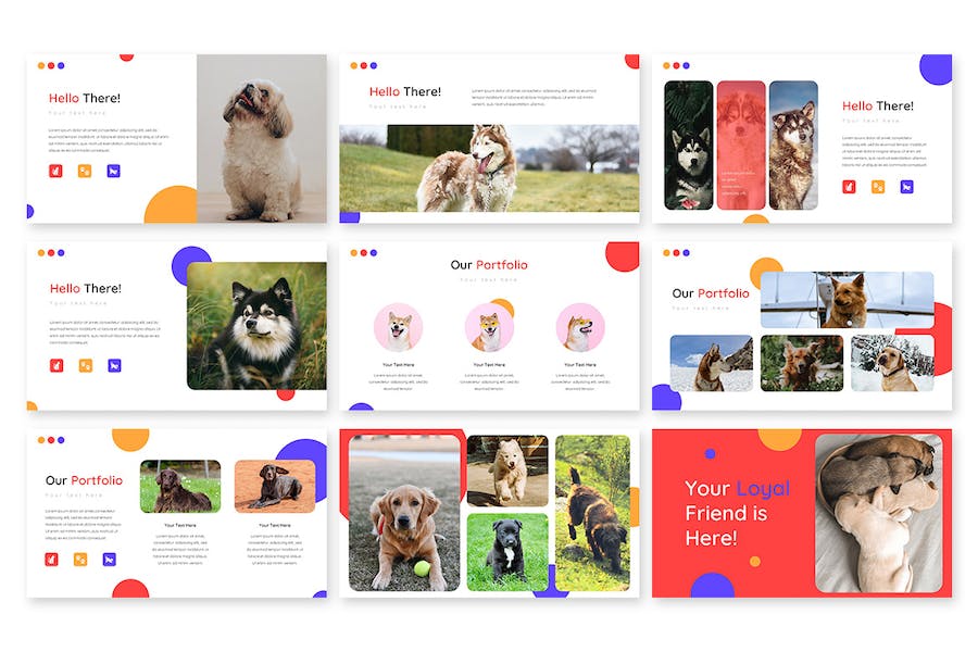 宠物行业市场调研分析宠物展示国外PPT模板 - 顶尖PPT