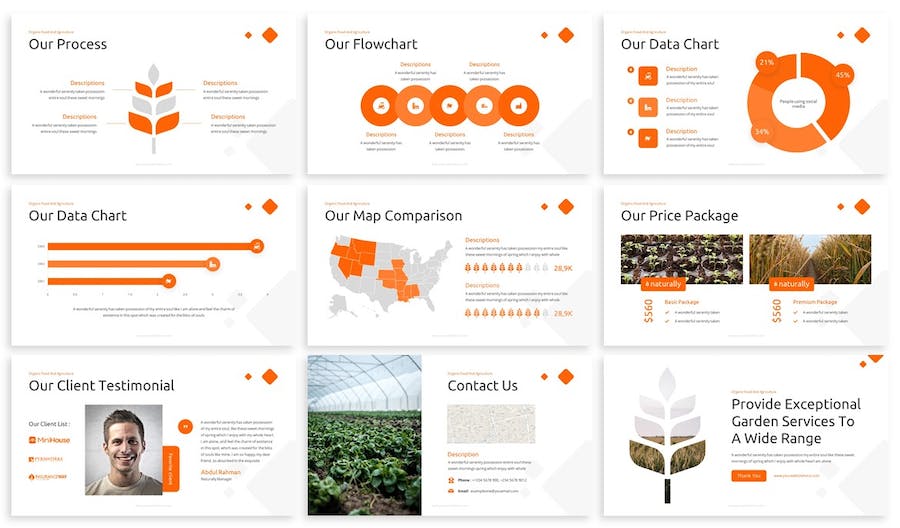 天然有机农业食品品牌推介产品营销展示Keynote模板 - 顶尖PPT