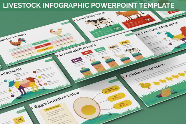 牲畜业信息图形Powerpoint模板 - 顶尖PPT