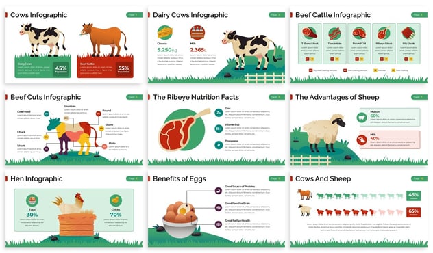 牲畜业信息图形Powerpoint模板 - 顶尖PPT