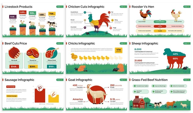 牲畜业信息图形Powerpoint模板 - 顶尖PPT