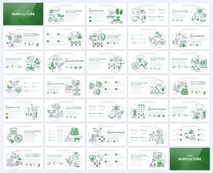 农业种植蔬菜养殖家畜农业杀虫概念插画keynote模板 - 顶尖PPT