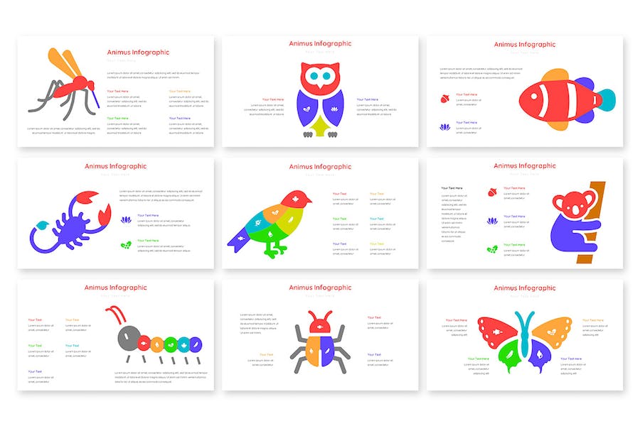 动画演示信息图形展示PPT模板 - 顶尖PPT