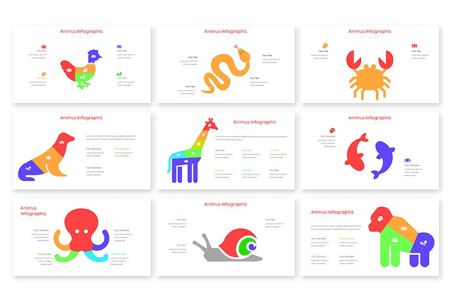 动画演示信息图形展示PPT模板 - 顶尖PPT