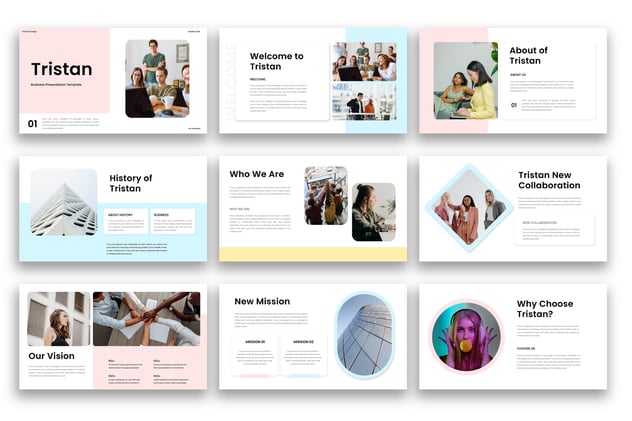商务项目方案工作总结PPT模板 - 顶尖PPT
