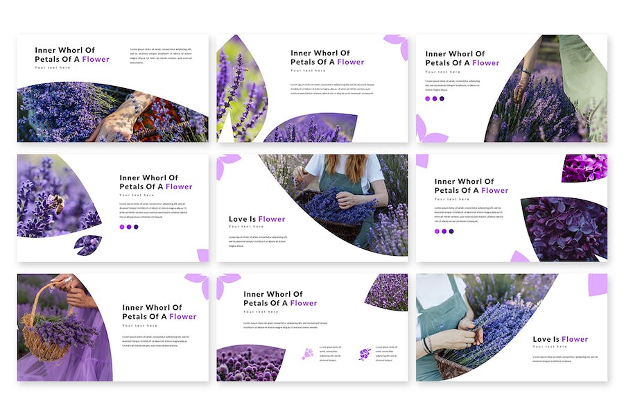 大自然植物介绍PPT模板 - 顶尖PPT