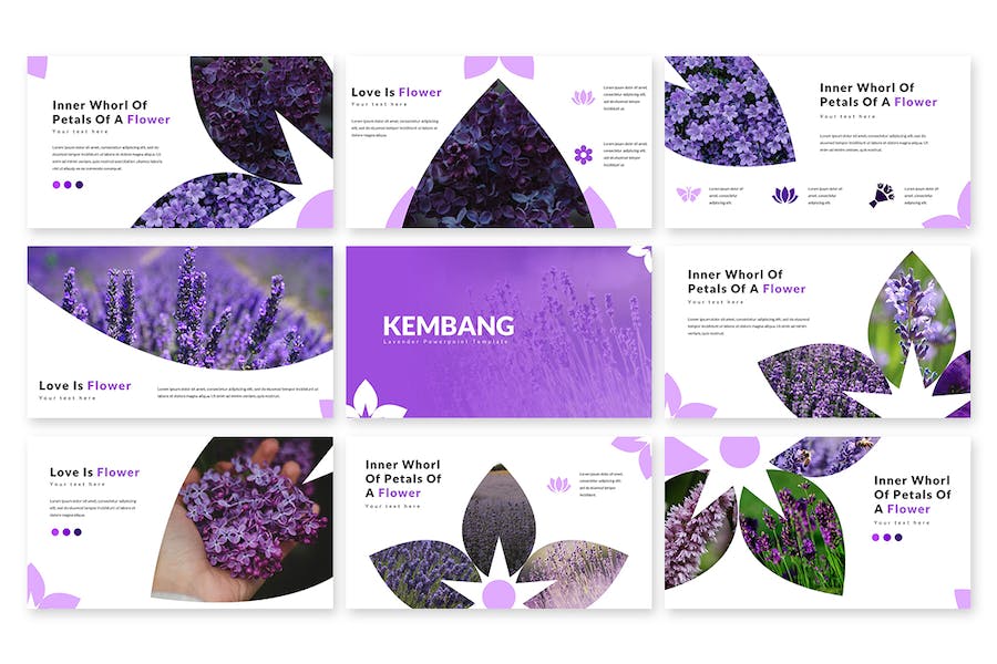 大自然植物介绍PPT模板 - 顶尖PPT