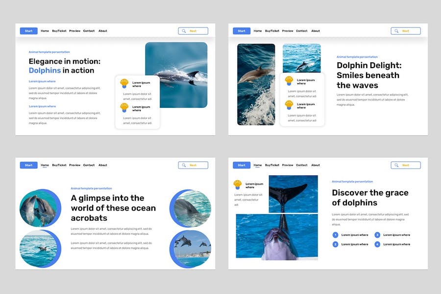 海洋动物科普知识讲述展示教育宣传Keynote模板 - 顶尖PPT