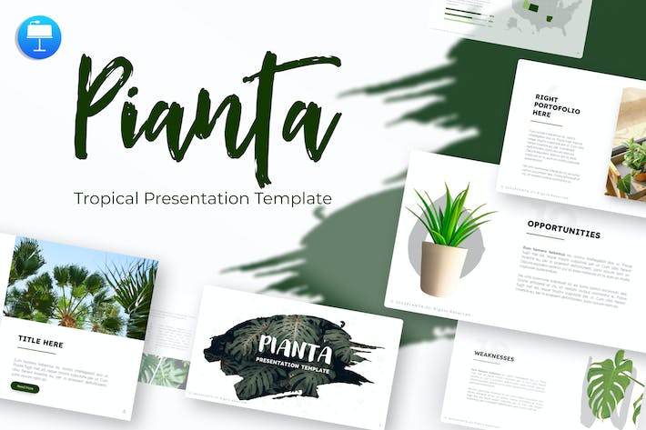 热带植物摆件盆栽keynote模板 - 顶尖PPT