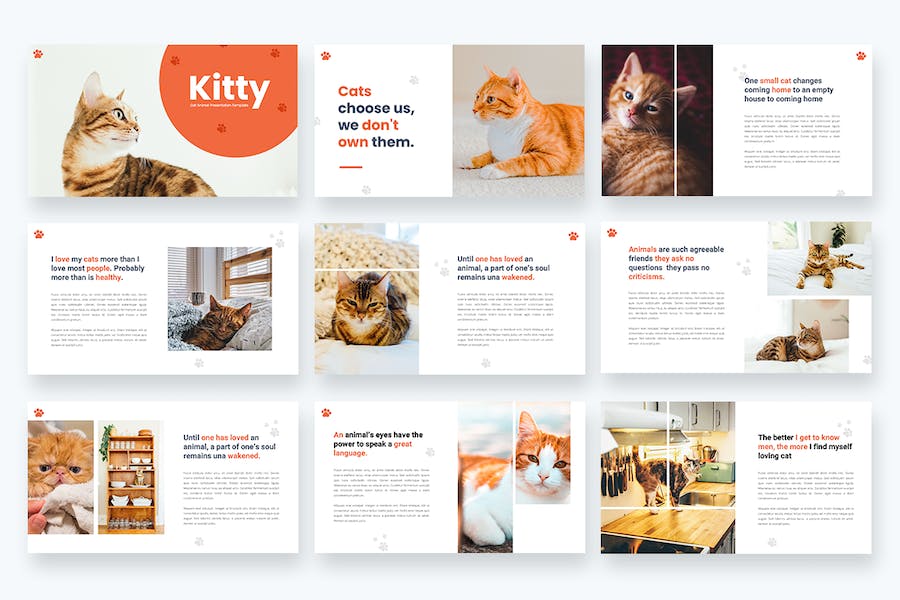 宠物猫动物主题keynote模板 - 顶尖PPT