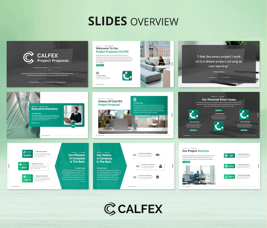 项目提案计划书商务汇报PPT模板 - 顶尖PPT