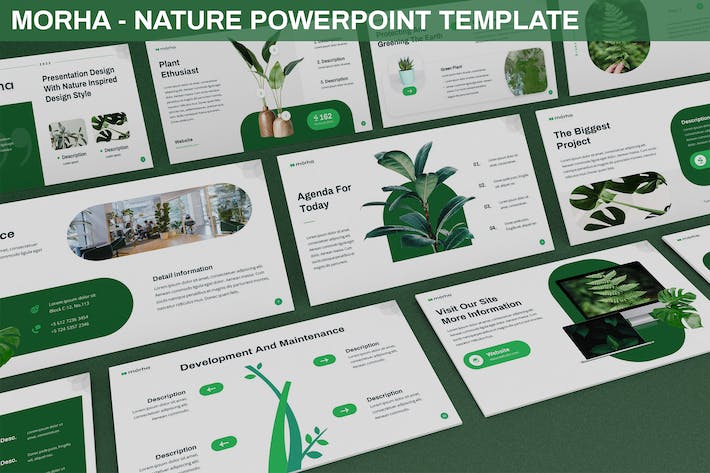 大自然植物介绍PPT模板 - 顶尖PPT