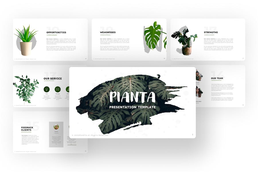 热带植物摆件盆栽keynote模板 - 顶尖PPT