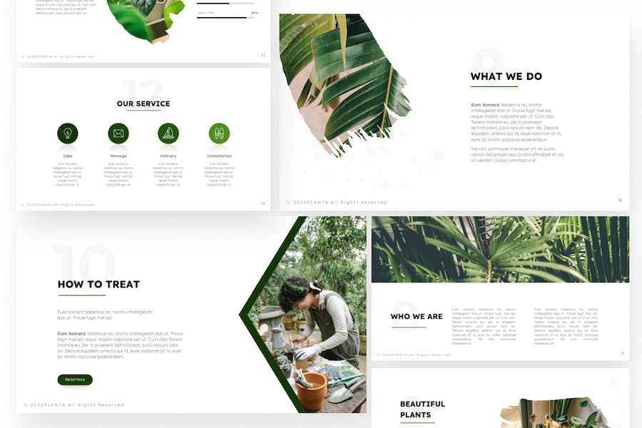 热带植物摆件盆栽keynote模板 - 顶尖PPT