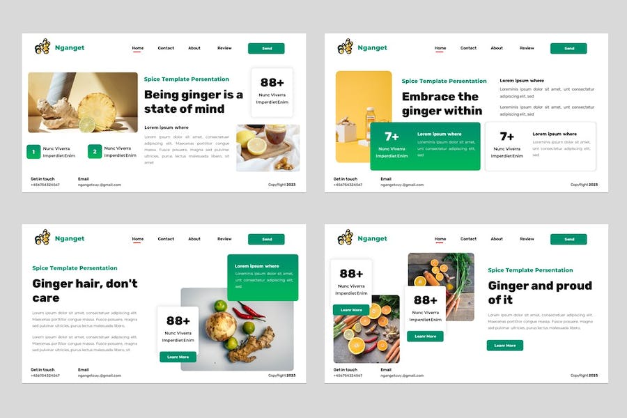 香料食品产品推介宣传营销展示方案PPT模板 - 顶尖PPT