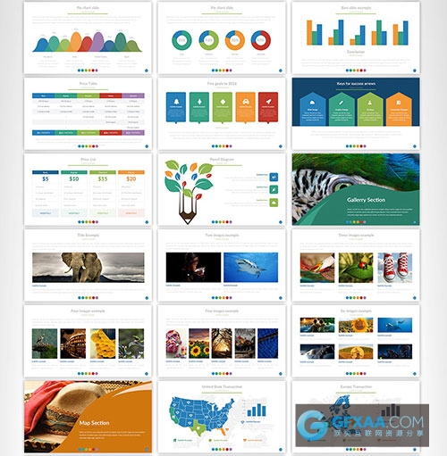 自然生物展示分析多用途PPT模板 - 顶尖PPT