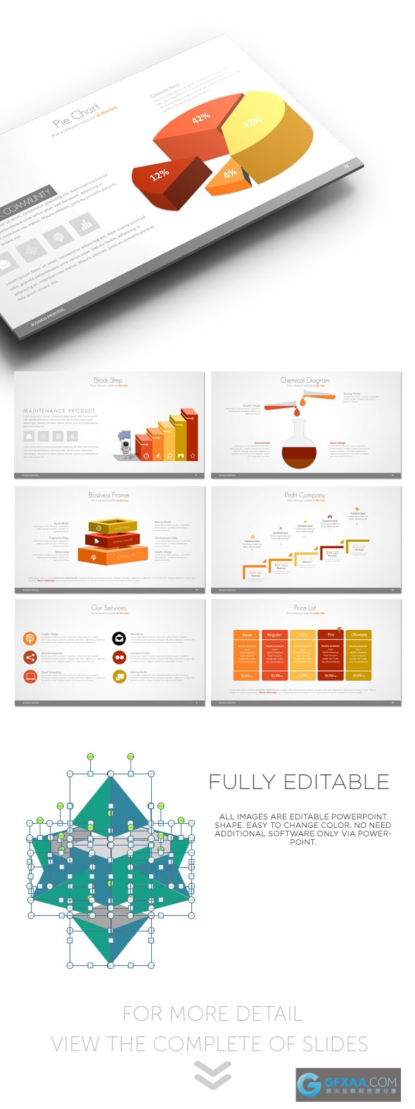欧美精美图形图表展示PPT模板 - 顶尖PPT