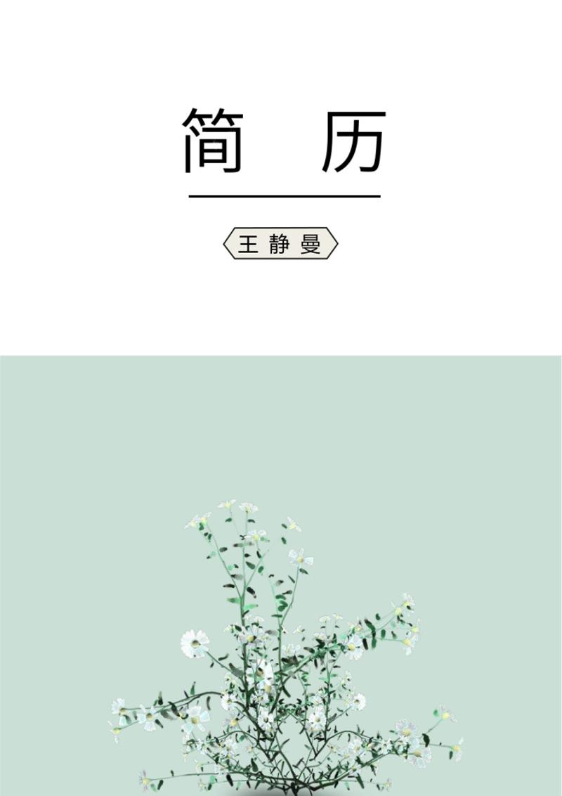 文艺唯美设计师简历模板 - 顶尖PPT