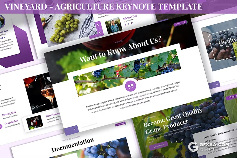 30页葡萄园农业主题国外keynote模板3种配色2款尺寸