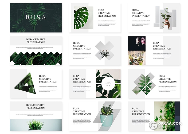 30页绿色植物图片展示绿植种植国外GoogleSlides模板5种配色