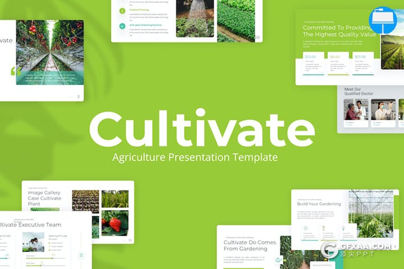 农作物种植培育展示农业论文报告农业主题多用途国外keynote模板