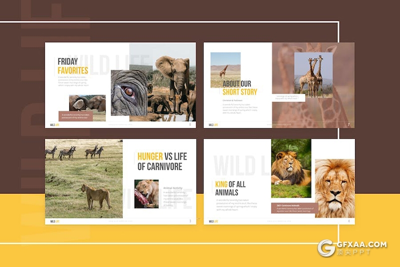 28页野生动物园宣传介绍展示保护野生动物主题国外PPT模板