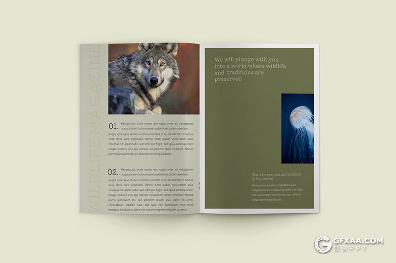 20页A4尺寸杂志风野生动物介绍宣传展示通用国外PPT模板